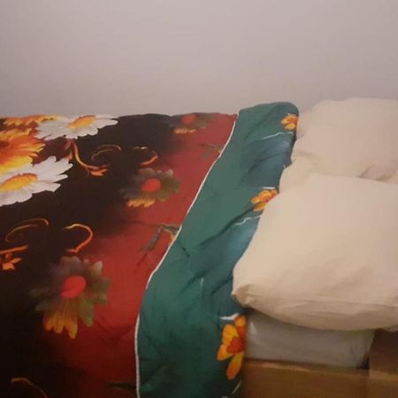 Lovely 1 Private Bedroom With Garden View Rotterdam Ngoại thất bức ảnh